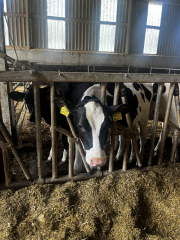 braseler-spargelfahrt-image00012