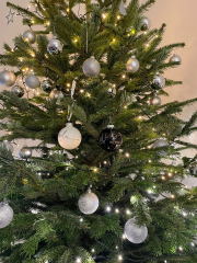 12.2021 - Weihnachtskugel Tradition