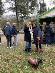 braseler-weihnachtsbaumschlagen-1222-image00005