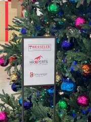 braseler-wunschbaum-1222-image00006